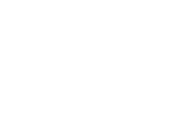 Plugit autoetu e1583222037386